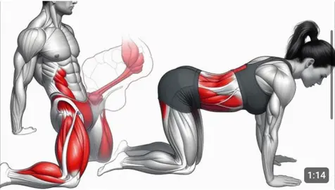 I Tried 10-Minute Morning Exercises #explore #treanding #fyp #viralvideos #vira #sportlover @Mrs Kay @Next Level Apparel 🇿🇦🇩🇪 