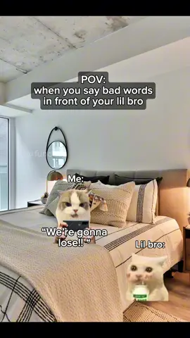 When you say bad words in front of your lil bro #catsoftiktok #catmemes #relatable 
