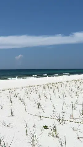 These work days are long and hot…. #saltlife #850 #crf450r83 #florida #work #beach 