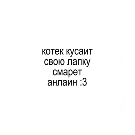 подпишись если понравилось #рек #лапке #котек 