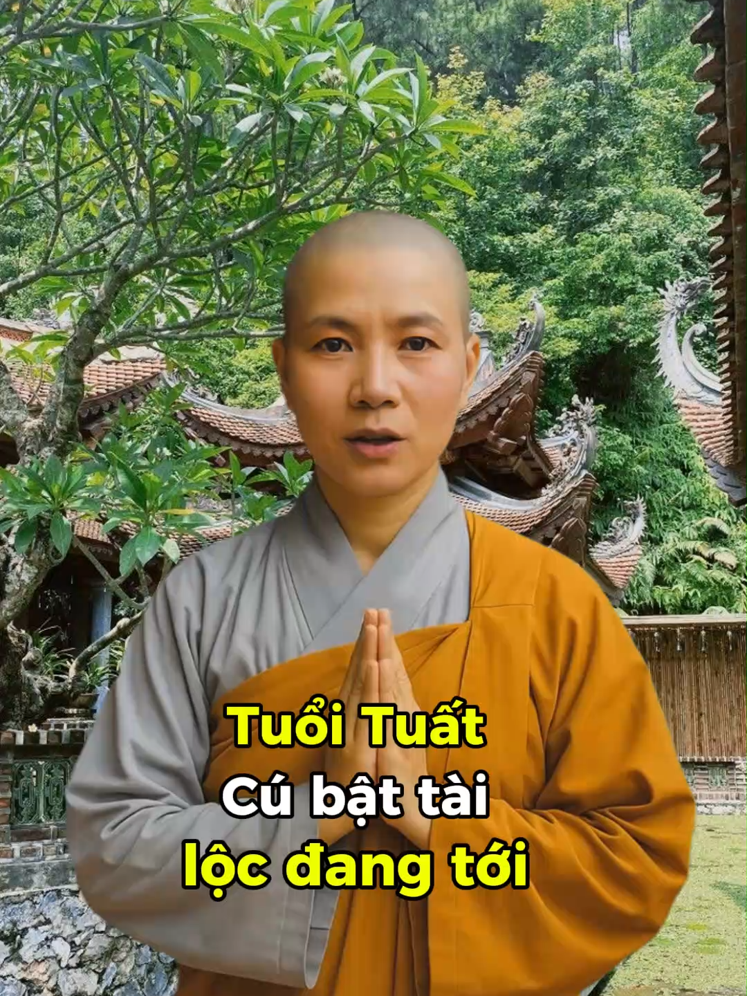 Tuổi Tuất cần mở khoá tài vận đúng cách Vật nhỏ, nhưng giúp đổi vận quý nhân #phongthuy #tửvi #12congiap #xuhuong #tailocphongthuy#meophongthuy #tuoituat