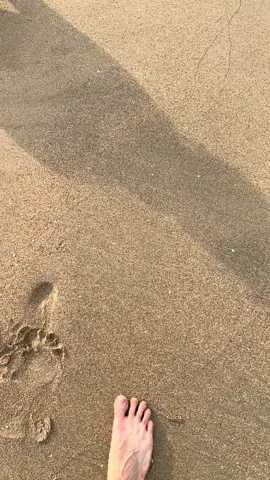 #beach #fyp #tiktokviral 