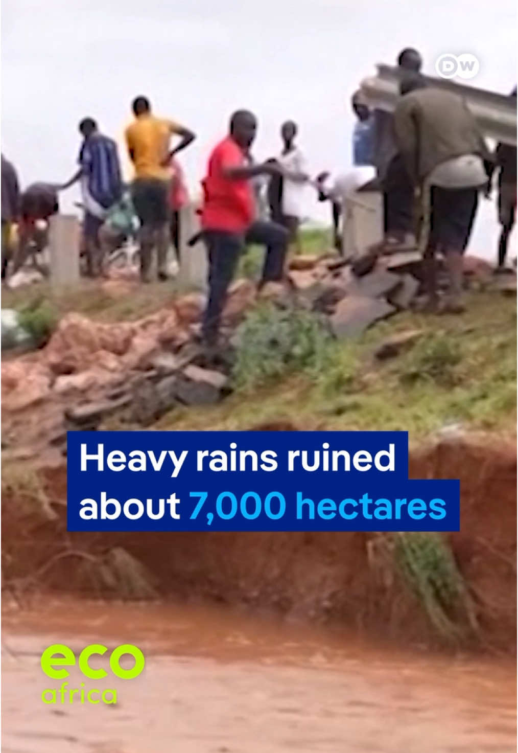Africa has the world's least developed weather observation network. Inaccurate forecasts can impact farming. But by observing nature, a community in western Kenya can make precise weather predictions. 🎥credits: DW #ecoAfrica  #NatureandEnvironment #nature #environment  #Climate #weather #forecast