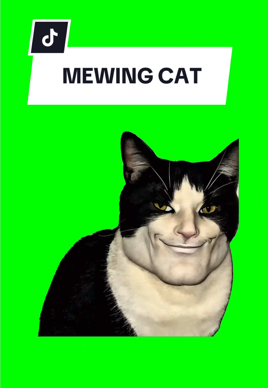 #CapCut MEWING CAT #greenscreen #greenscreenvideo #greenscreenoverlays #fyp #fyppage #fypシ❤️💞❤️ #meme #memes #memestagram #freefirememe #memepage #viral #viralvideos #viralreels #viralvideo #viralpost  #cat #cats #catsofinstagram #catlover #catmemes #catmeme #trend #trending #mewingcat 