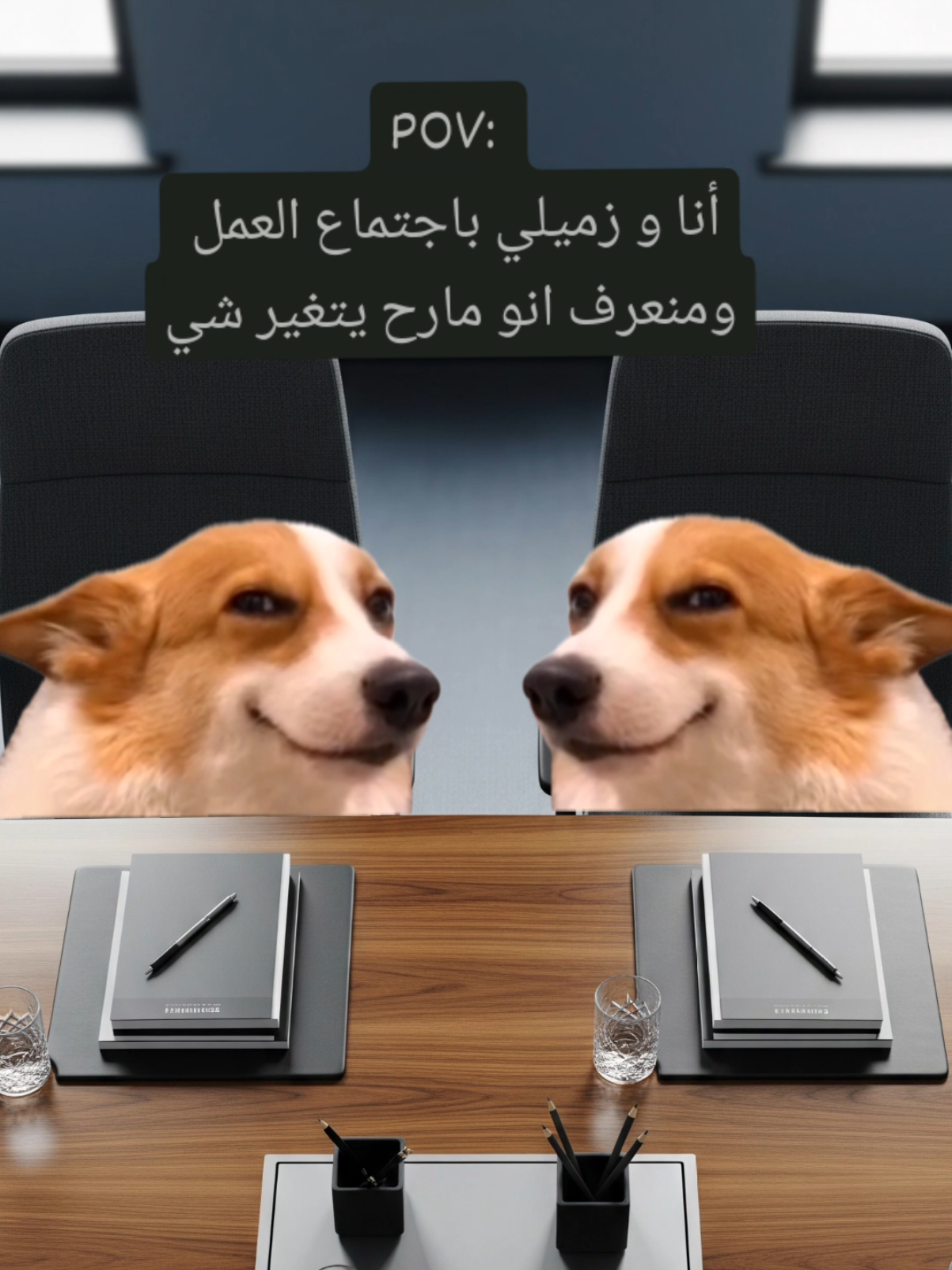تيتي تيتي متل ما رحتي متل ما جيتي 🫠 #memestiktok #corgilona #viralditiktok #corgisoftiktok #pov 