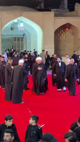 تواضع شيخ زمان الحسناوي  ليلة الاولى لمجلس اهالي الحيدري المركزي #لايك #متابعة #اكسبلور 