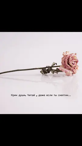 «Это всё реклама» «Все туда ломанулись»… ⠀ Да, я слышала это. Много раз. Ты не знаешь, сколько боли, труда и выбора стояло за каждым моим шагом. 📿 Не все так просто 😢 Я поднялась после падений. Я выжила там, где другие ломались. Я изучала нутрициологию, проходила курсы, разбиралась в себе и в людях. Я строила жизнь с ценностями, с миссией, с основой на вере. И да — сегодня я живу своим путём. Он не для всех. Он не всегда понятен. Но он — мой. Если ты видишь в моих постах только рекламу — значит, ты не видишь моей истории. Моей боли. Моей силы.  Моей веры. Моего пути. 🔸 Это не хайп. 🔸 Это не “тренд”. 🔸 Это — мой труд и мой выбор. Не нравлюсь? Пролистни. Сомневаешься? Пройди свой путь. Но не обесценивай чужой.