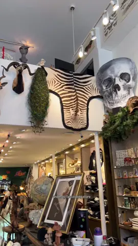 One of NYC’s quirkiest stores!  . . . #nycshopping #shoplocal #newyorkcity #nyclife 
