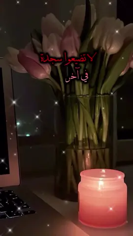 الوتر ،، جنة القلوب ❤️🌹#fyp 