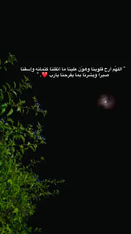 #رام_الله_جنين_الخليل_بيت_لحم_القدس #fyp #viral #foryou #غزة 