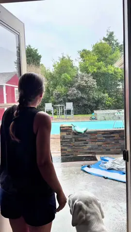 Purdy just trying to help mom get Bus out of the pool! #dogsoftiktok #creatorsearchinsights #sillypup @BustersWorld 