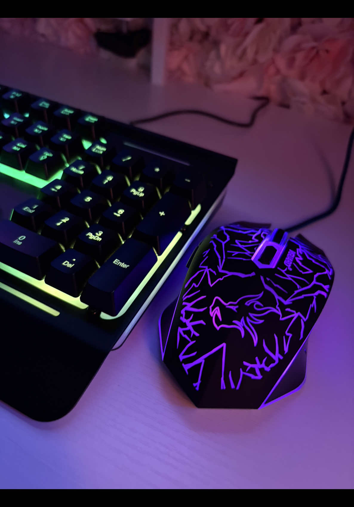 #pcgaming #pc #pcgamer #pcsetup #gaming #girlgamer #girls 
