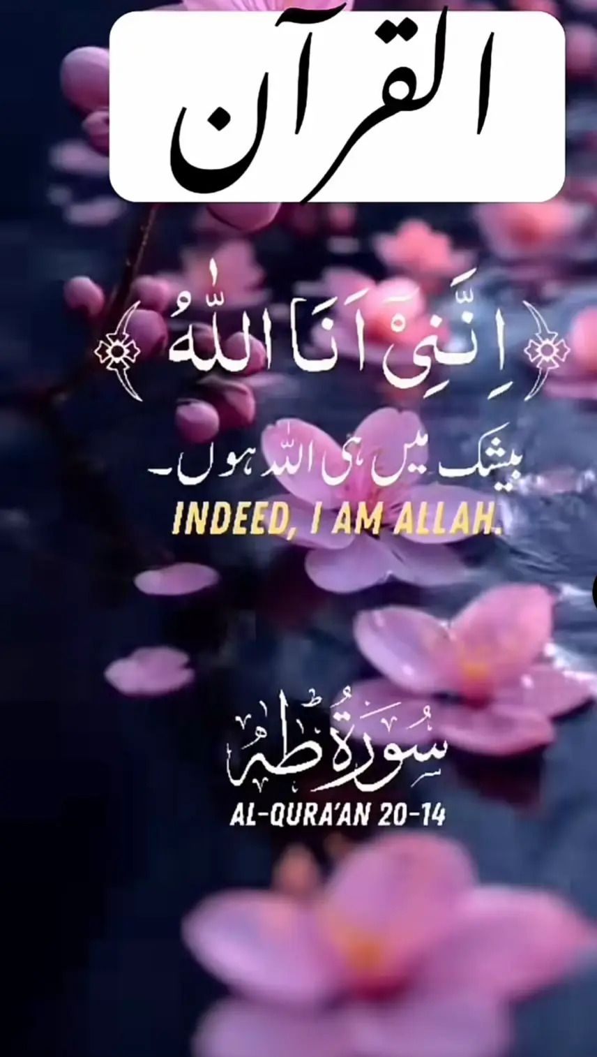 #promomakanliburan #jummahamubarakstatus🕋🤲 #allahisthegreatest #fypviraltiktok🖤シ゚☆♡ #powerofislam🔥⚔️💪💖 #sylhetitiktokers #islamic_group #foryourpage #islamic_video #islamic_video #islamic_media 