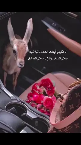 لا تكرهوا أوقات الشدة، فإنّها تُبعِد عنكم المنافق وتقرِّب منكم الصادق. #من_يتفق_معي؟؟؟ #اكسبلورexplore #خواطر #هشتاقاتي_الترند_المشهور #كلمات #الشعب_الصيني_ماله_حل😂😂 #fy #fypage #اكسبلورexplore❥🕊🦋💚❤ 