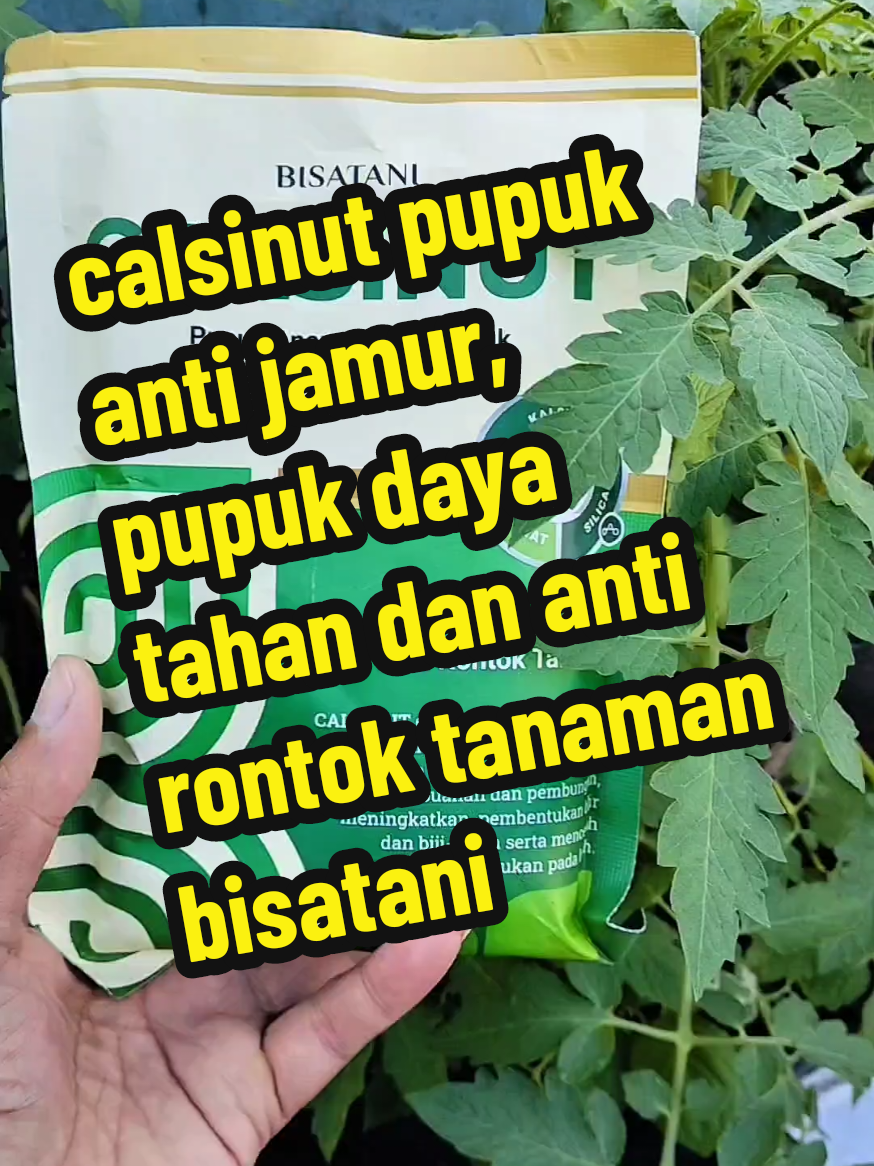 calsinut pupuk anti jamur, daya tahan dan anti rontok tanaman bisatani #calsinut #calsinutbisatani #pupukantijamur #pupukantirontok #pupukantirontokbuah #pupukantirontokbunga #bisacod #gratisongkir #satukontentiaphari #wibgajian🔥 