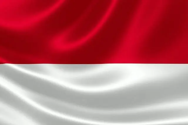 Lagu Kebangsaan Indonesia (INDONESIA RAYA) #indonesiaraya #pinterest 