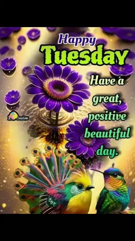 morning to all tiktokers vlogers and content creators#tuesday morning#7 ,22,2025