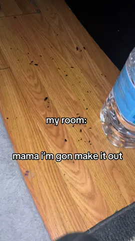 I’m gonna make it out…. but i really really need help and i can’t do it all by myself, mom won’t let me get a job and everybody in the house is abusive to our home and neglectful to us and the pets, i’ve set up a donation link for yalls help and support, so far it’s been working really well! Thank you guys so much. #fyp #animals #cats #tylerthecreator #LoveIsland #huda #viral 