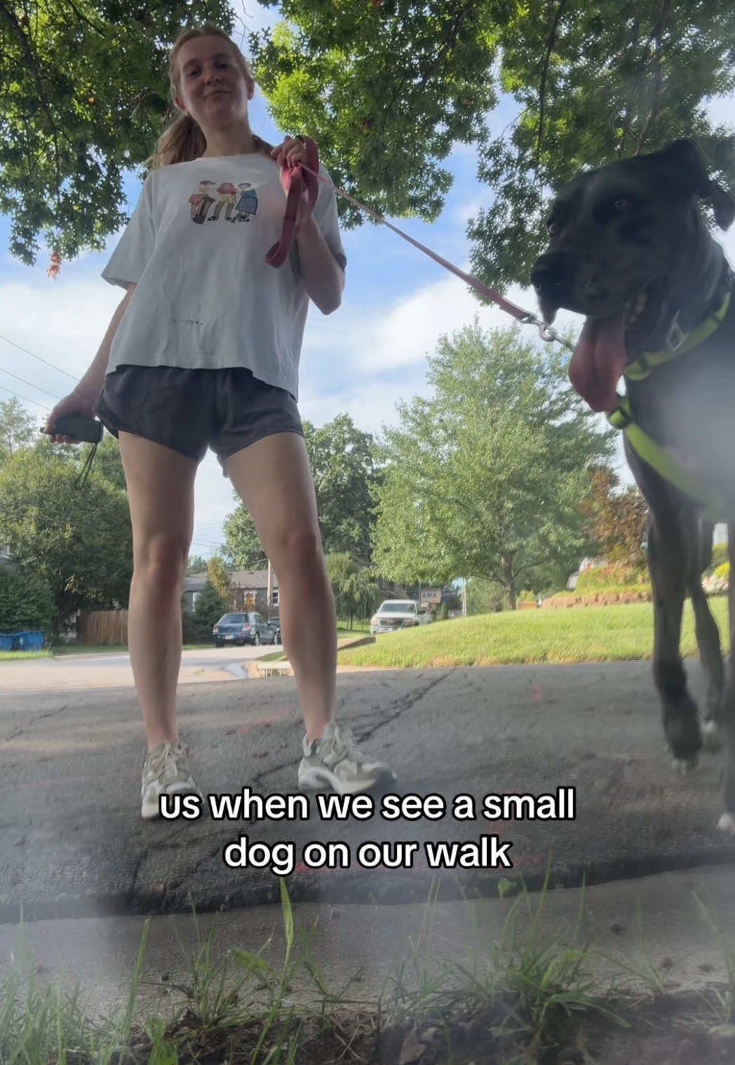 We don’t **** with small dogs!! (He thinks they’re toys)