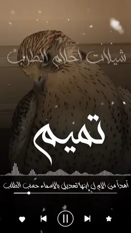 حبيب القلب تميم حبيب الروح تميم الدنيا كلها تميم شيله باسم تميم جديد  اخوي اذراعي الأيمن ونبراسي  شيله باسم اخوي جديد اخواني مطاليق الرجالي  شيله باسم اخواني جديد حبيب القلب سلطان حبيب الروح سلطان الدنيا كلها سلطان شيله بإسم سلطان جديد مرحبا يا نايف المطنوخ  شيله باسم نايف جديد ون ذكرت محمد المد المبنا  شيله باسم محمد جديد  اناامك الذي تفداك عيني  شيله باسم محمد جديد حبيب القلب محمد حبيب الروح محمد للدنيا كلها محمد شيله باسم محمد  حبيب القلب زياد حبيب الروح زياد   الدنيا كلها زياد شيله باسم زياد  حبيب القلب ناصر حبيب الروح ناصر  الدنيا كلها ناصر شيله باسم ناصر  مرحبا يا نايف المطنوخ  شيله باسم نايف جديد  #استديو_احلام_الطرب  #اكسبلوررررررررررررررررر  #الشعب_الصيني_ماله_حل😂😂 