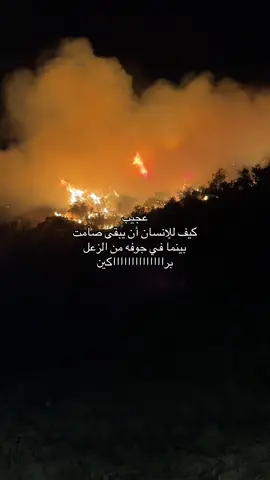 عجييب #الشفا #foryou #fyppppppppppppppppppppppp #4u #fire #explore 