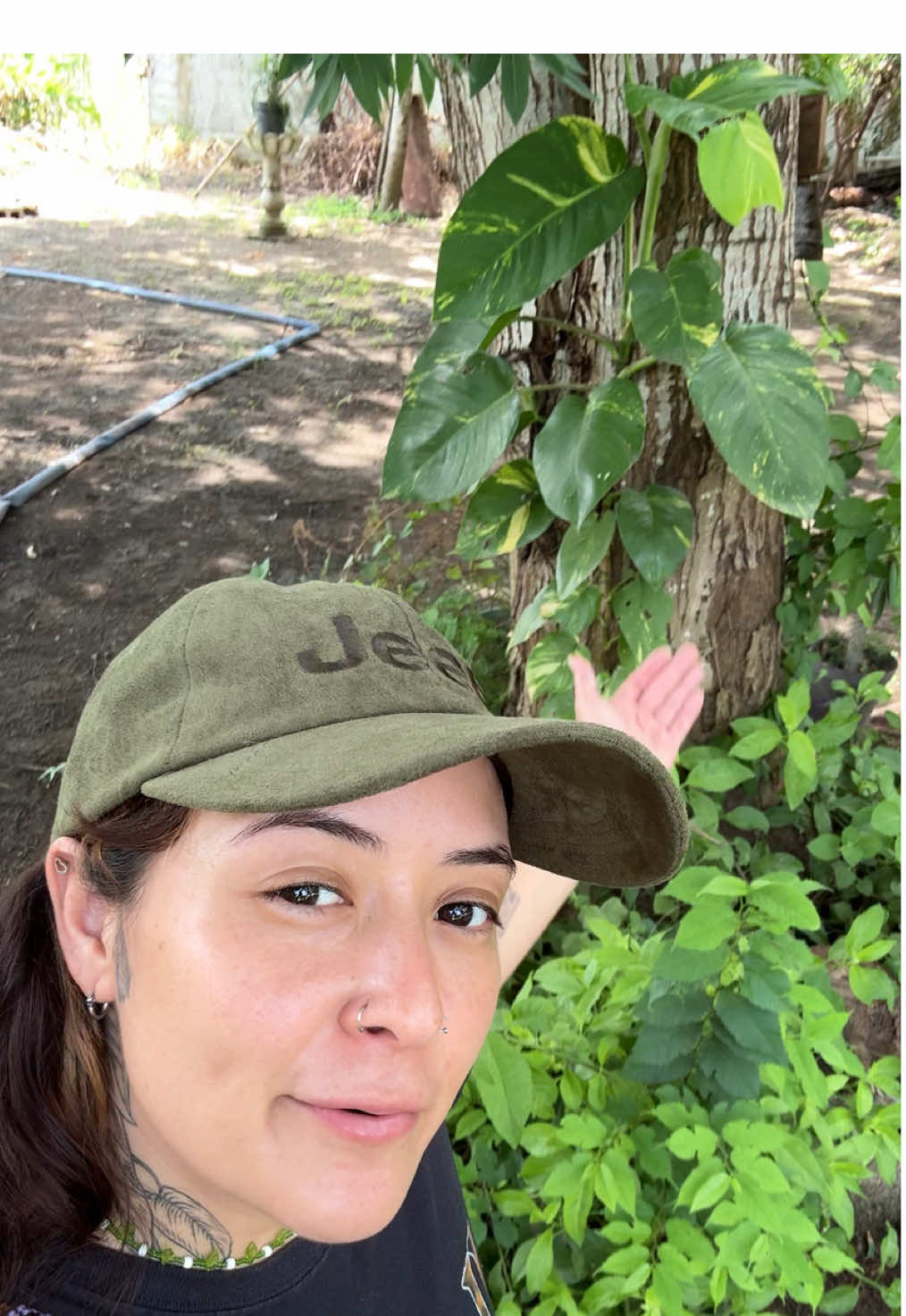 🎥 Hoy nos metimos de lleno al mundo de los potos —aprendimos a leer sus hojas, a entender qué necesitan y cómo nutrirlos para que sigan creciendo sanos y felices 🌿💚 @Puerto Vivo en mi lugar feliz ✨