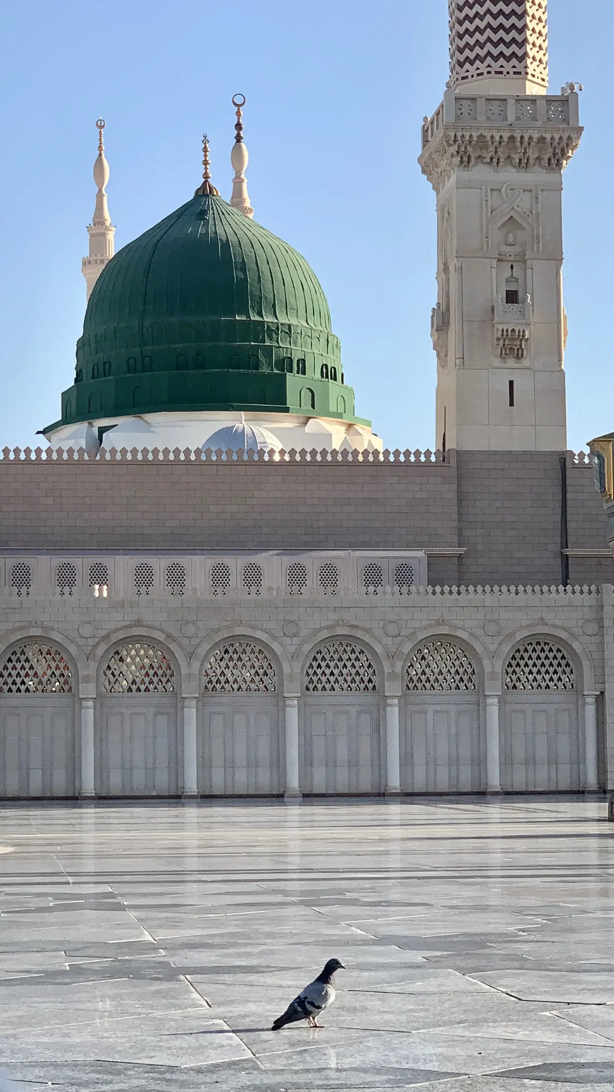 نِعم الجِوار🤍 #المدينة_المنوره #المسجد_النبوي #أحمد_بن_طالب #madina 
