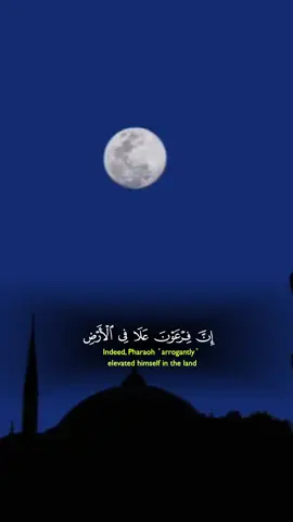 #CapCut #اللهم_صلي_على_نبينا_محمد #سبحان_الله_وبحمده_سبحان_الله_العظيم #freepalestine🇵🇸❤️ #قران_كريم_ارح_سمعك_وقلبك #فلسطين🇵🇸 #islamic_video 
