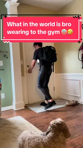 Even the dog was looking at bro like 🧐 #baggysweatpants #comfyclothes #baggypants #comfrtclothing #memes  #yogapants 