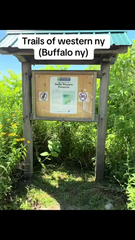 #fyp #foryourpage #gemini #BlackTikTok #trails #peace #spirituality #backpacking #camping #Outdoors #80sbaby #lgbt🌈 #lgbtq #hikersoftiktok #Hiking #westernny #buffalo #buffalony 
