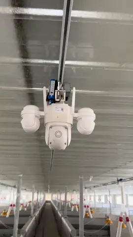 Chủ trại thua mỗi nhà khoa học mỗi cái bằng. Camera theo dõi hồng ngoại wifikết hợp với ray lùa điện và bộ điều khiển . Xem heo đau ốm bất kì đâu. #nongnghiephiendai #fyp #nongnghiep #tiktokviral #trending #channuoi #farm 