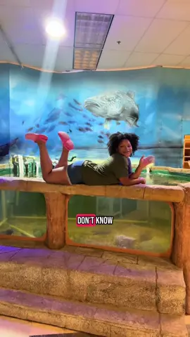 I NEED A SPONSOR 😩 tiktok do your big one and help me spread the word 🫶🏽 #aquarium 