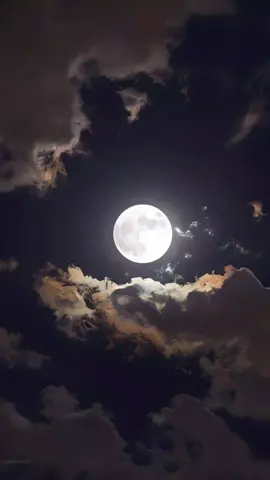 Que tengas una noche tranquila  #CapCut #buenasnoches #feliznoche #frasesparavideos #💫 