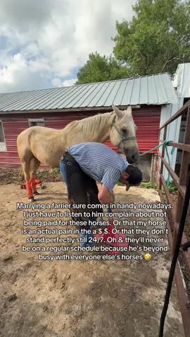 It really is great though 🫶🏼👍🏻 #thatfitagvocate #farmtok #ranchtok #horsetok #farrier #horseshoeing #farriersoftiktok #farrierlife #horsegirlvibes 