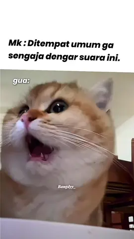 eh bentar, Kek kenal suarane🧐 #donghua #karnakamu #preset #am #kultivator #wetv #preset  @𝗥𝗮𝗺𝘇 𝗦𝗼𝗽𝗮𝗻`🎭 