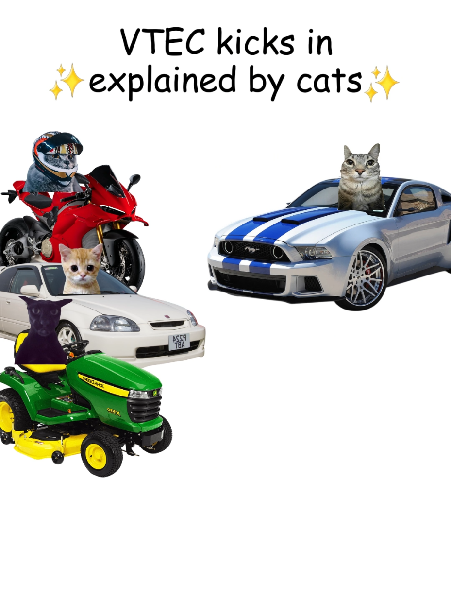 VTEC kicks in explained by cats  #cats #mechanic #cars #carguys 
