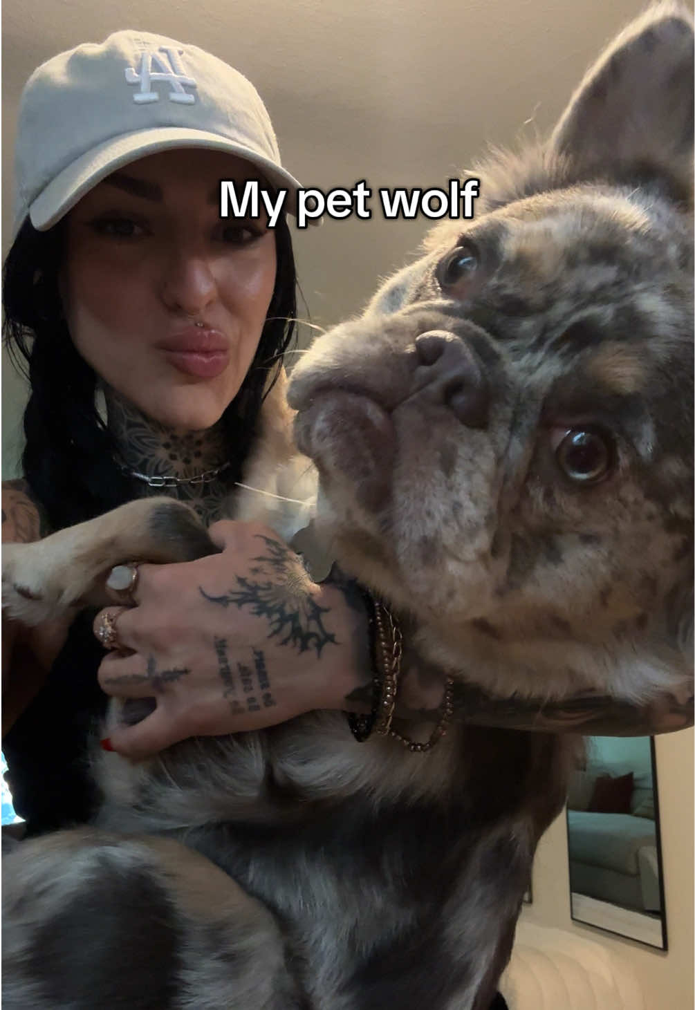 #frenchie #frenchiesoftiktok #dog #dogsofttiktok 