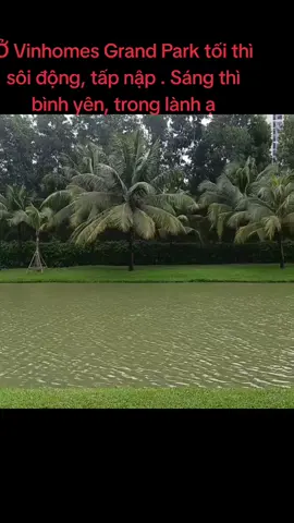 Buổi sáng trong lành, bình yên tại Vinhomes Grand Park Q9. #vinhomesgrandpark #vingroup #binhyen #tronglanh 