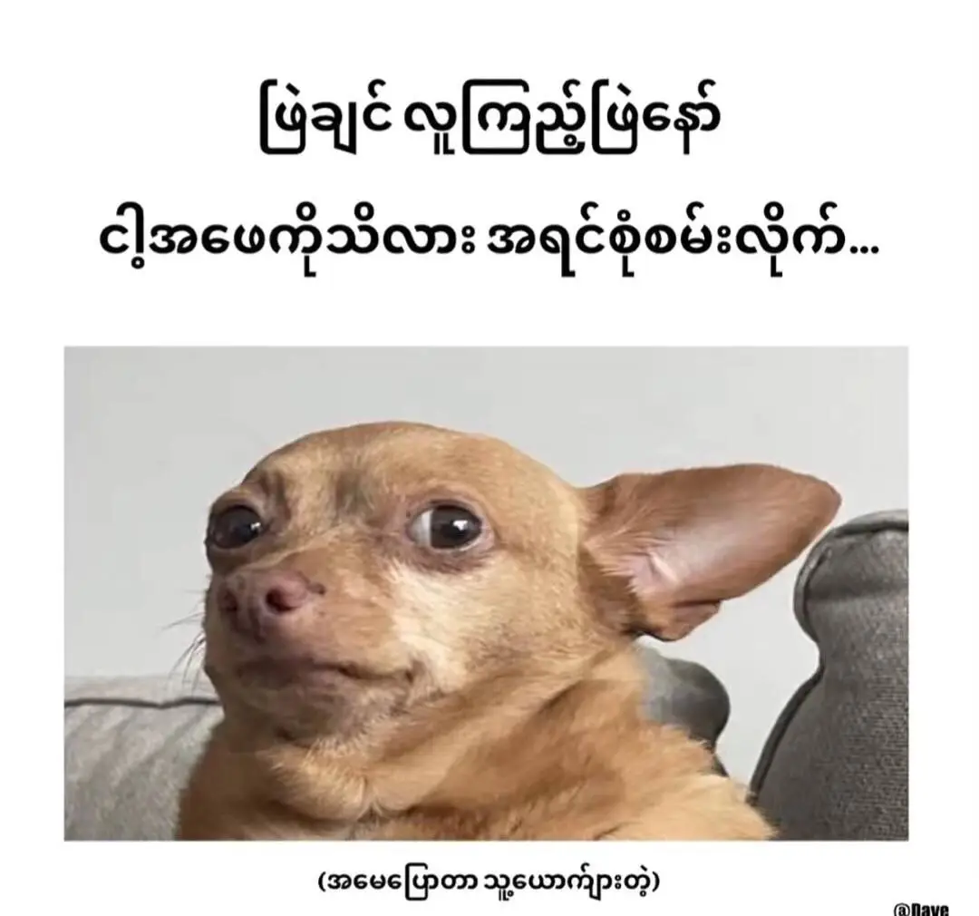 #fyp #foryou #viral @That Htar Khin 