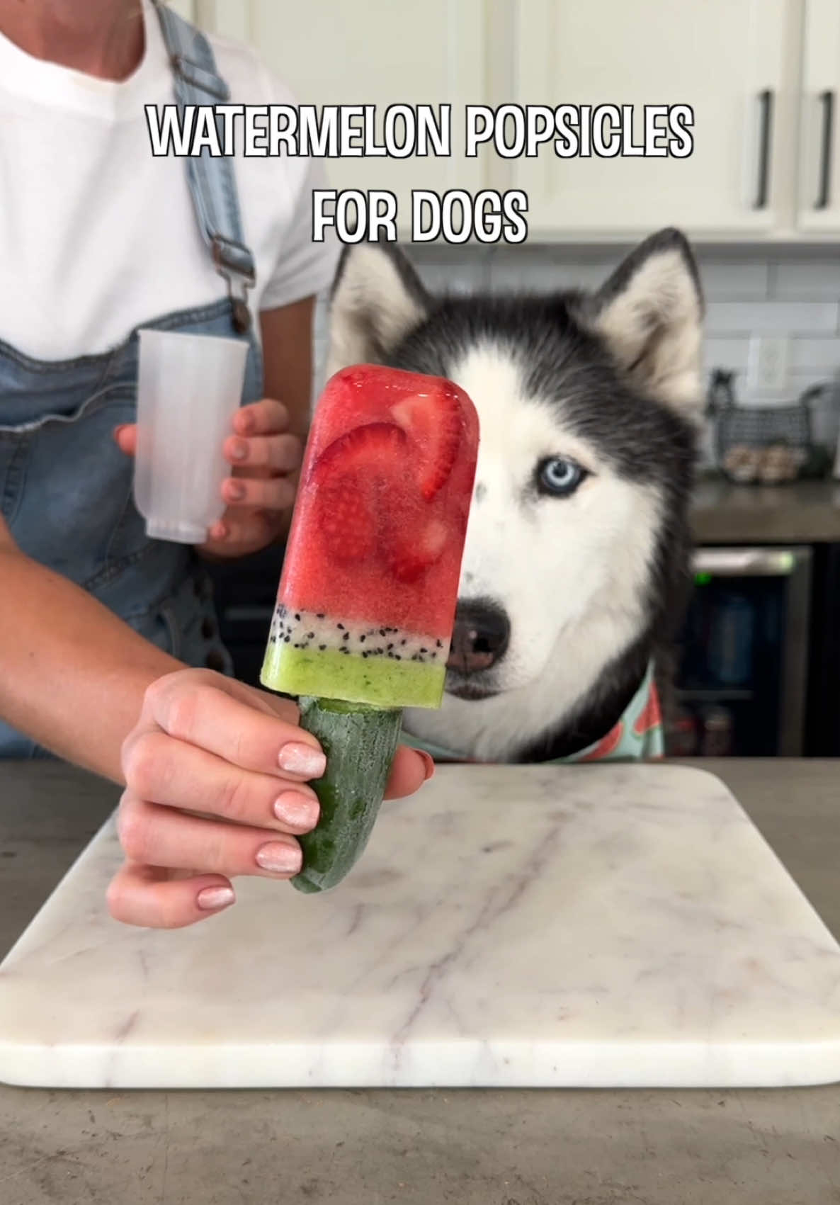 Hydrating watermelon popsicles for dogs 🍉🐶 plus our @Petlibro Capsule Dog Fountain is the easiest hack to hydration 💦 with its 2 gallon capacity and whirlpool feature that pulls all the impurities into its 5 layer filter keeping the water clean and fresh longer. You can find the link in our bio to get 15% off all Petlibro main products with code husky15.  Ingredients:  -Seedless watermelon  -Coconut water  -Strawberries  -Mini cucumber  -Dragon fruit  -Honeydew melon  -Mint  Directions:  -First, purée a few scoops of watermelon with a splash of coconut water. Slice a strawberry and add it to your popsicle mold then pour in your watermelon puree until it’s about half way full. Put it in the freezer until firm.  -Mash a scoop of dragon fruit and add a thin layer to the top of your popsicle and pop it back in the freezer.  -For the final layer purée together a few scoops of honeydew and a few mint leaves and then fill your popsicle mold to the top. Put it back in the freezer for a couple hours then enjoy!  #petlibro #petlibropartner #hydrating #watermelon #dog #treat 