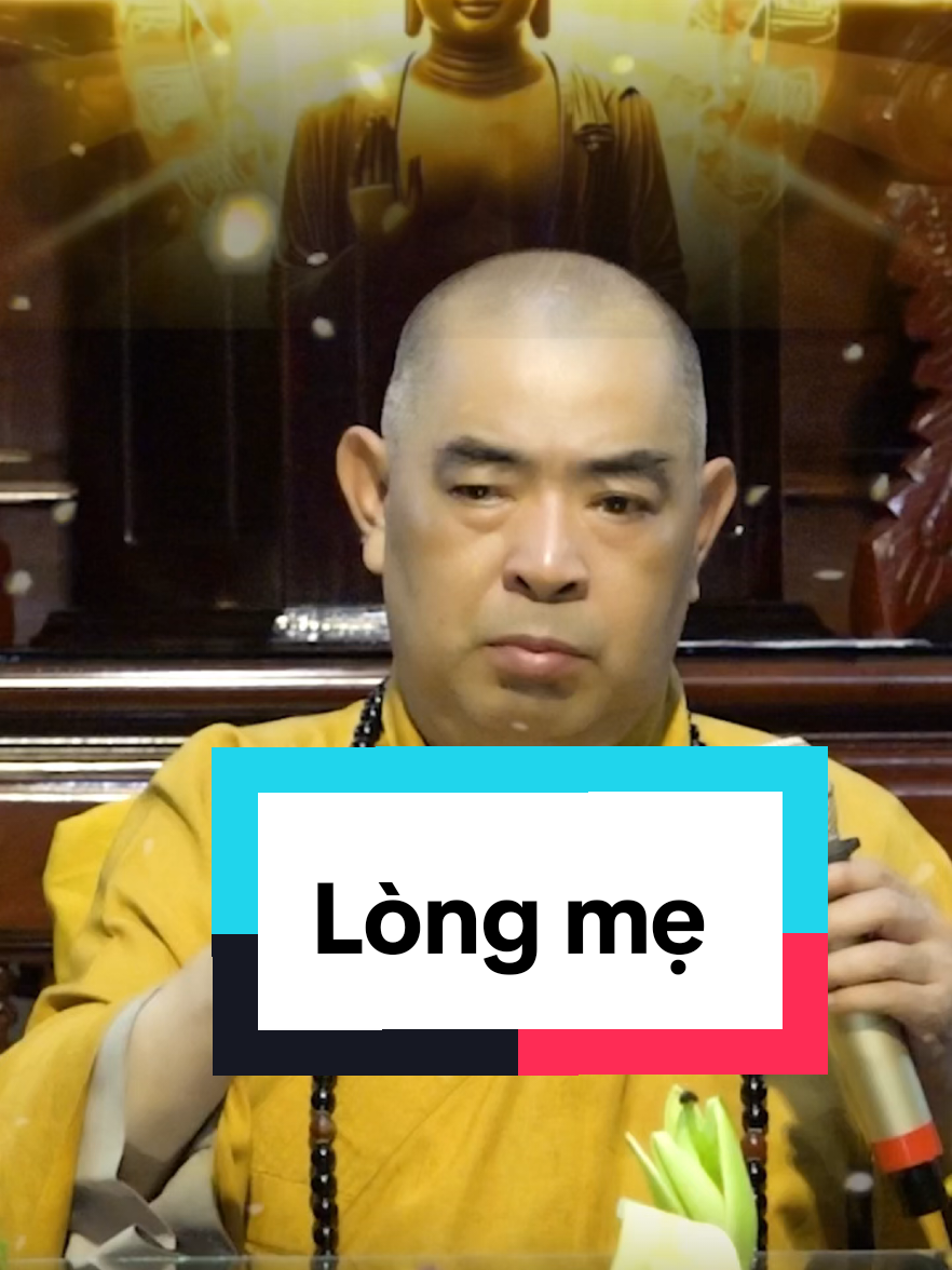Lòng mẹ bao la suối nguồn xa , ôm ấp con thơ bầu sữa mát . #thichminhthanh #phatphapvobien #phatphapnhiemmau #phatphap #phapthoai #top #xuhuong 