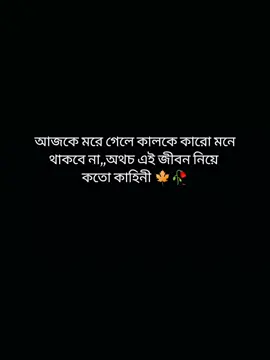 #CapCut #হুমমমম💘💯 #ইনশাআল্লাহ_যাবে_foryou_তে #fypシ゚viral🖤tiktok☆♡🦋 #foryou🦋✨シ♡foryoupage🦋 #রিপোষ্ট_৩বার_কপিলিংক_করুন_প্লিজ। 