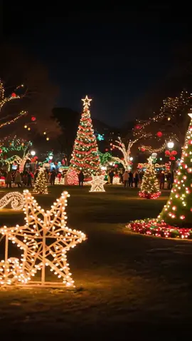 #christmas #christmasdecor #christmastree #christmaslights 