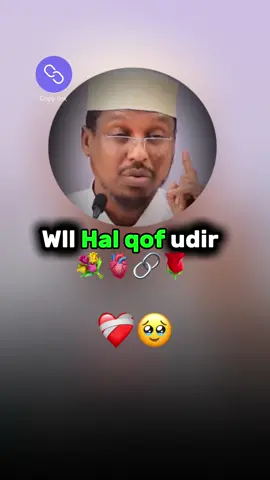 Kher faafiye #creatorsearchinsights #team_daaci_kh_faafiye #viralvideo #CapCut 