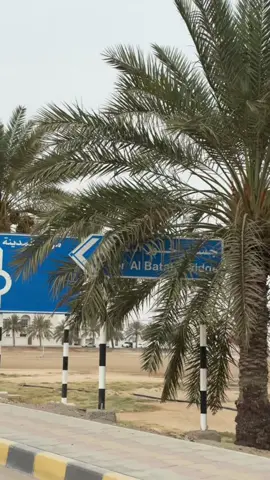 #صور_العفية 