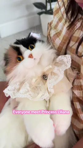 We are all obsessed! So precious and realistic looking. Thank you so much @ChongkerUS! You made our day. 🥰😍😊 #chongkercat #chongkerbackpack #chongkerplush 
