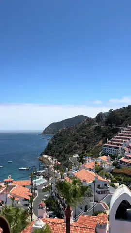 The best getaway💙🐚 @troy #catalinaisland 