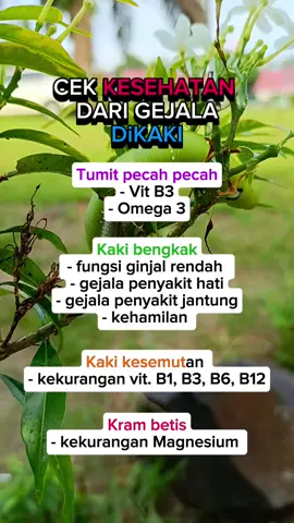 cobain yuk! #affiliate #fyp #trending #viral #sehat #tipsandtricks 
