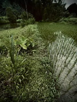 “也不想看过去 我不敢去想未来。仅有的我希望你在很平静，不要还有痛吗⋯ 