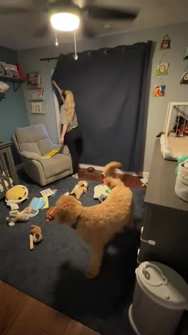What would you do?? 🤭🤫🤔 also a HUGE HUGE THANK YOU to everyone who has sent any sort of gift off of our wishlist, I can not express into words how much it means to me and my family! & I am keep each and everyone of your notes! ❤️ Carter’s birthday party is going to be absolutely amazing because of all of you! I can’t believe you all have almost gotten everything off the wishlist! 🤯😭🙌🏼  #sahm #stayathomemom #motherhood #youngmomsoftiktok #youngmom #toddlermom #momof2 #momoftwo #postpartumjourney #postpartumrecovery #postpartumbody #postpartum #boymom #girlmom #mama #clean #CleanTok #cleaning #cleaningmotivation #motivation #cleanwithme #help #helpme #question #answer #questions #fypシ #fypシ゚viral #viral #trend #trending #trendingvideo #dontletthisflop #keepgoing #dontgiveup #yougotthis #blessed #happy #soblessed #thankyou #thankful #grateful #support #supportme #follow #followme #following #husband #secret #suprise #gift #husbandwife #dad #dadsoftiktok #dadlife #bluecollarwife #packedlunch #lunchbox #wishlist #amazon #unboxing #unboxingvideo #party #birthdayparty #monsterjam #spinmaster #goldendoodle #cat #catsoftiktok #dogsoftiktok #mess #son #daughter #narrator #timelapse #Love #iloveyou #coldplay #coldplayconcert #payoffdebt #payoffdebttrend #debtfreejourney 